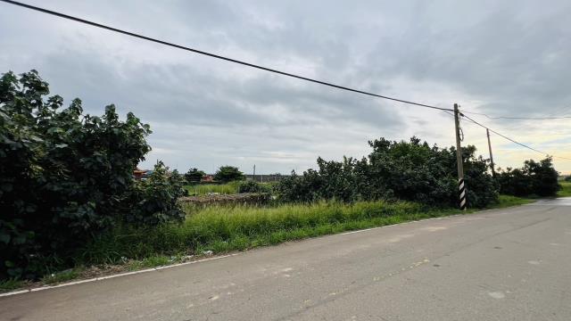 桃園大園農地-1