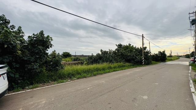 桃園大園農地-2
