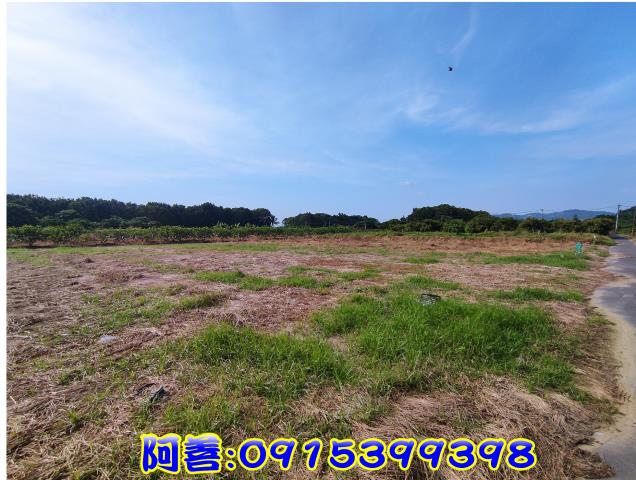 玉井農地-6