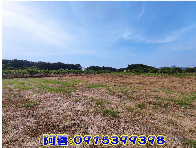 玉井農地-9