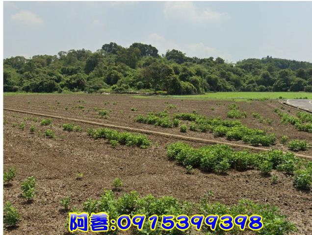 官田農地-1