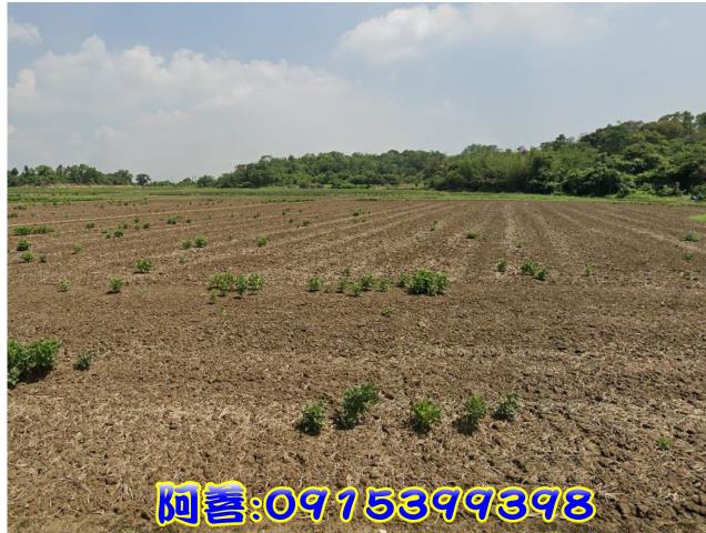 官田農地-5