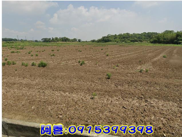 官田農地-6