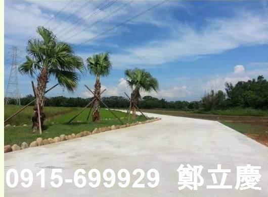 桃園農地-1
