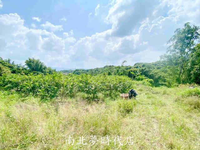 台南玉井建地-10