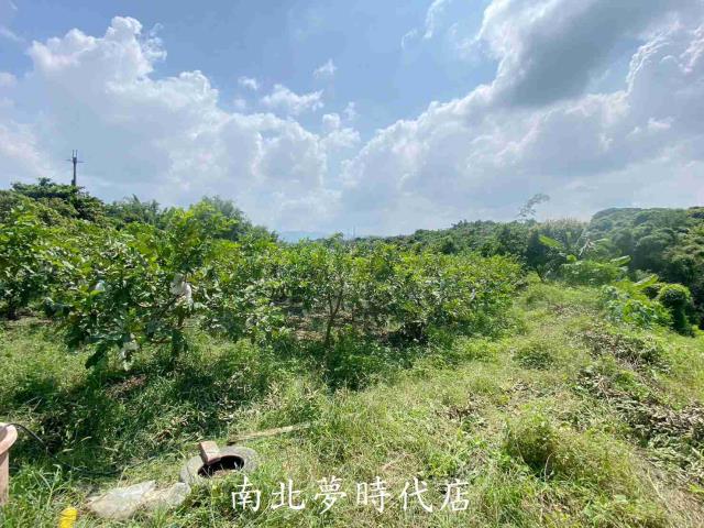 台南玉井建地-9