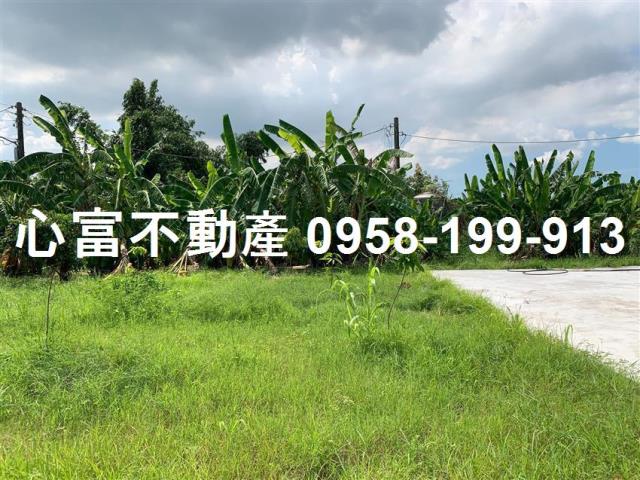 大社農地-1