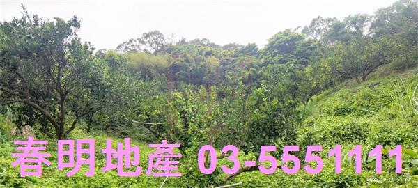 寶山農地-10