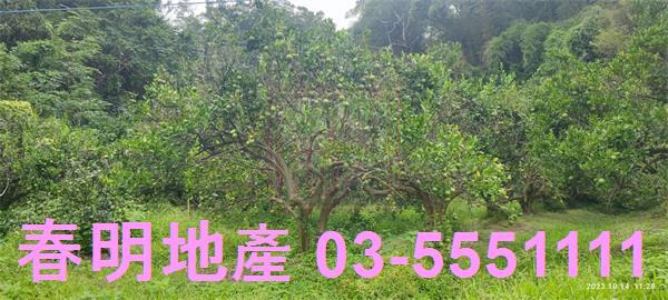 寶山農地-11