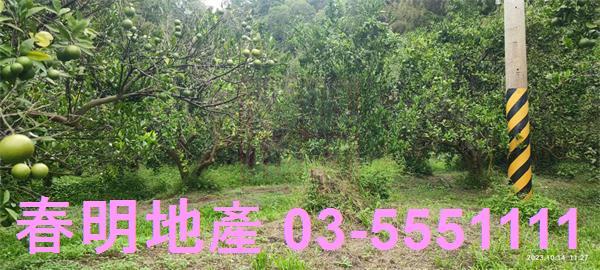 寶山農地-13