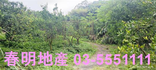 寶山農地-2