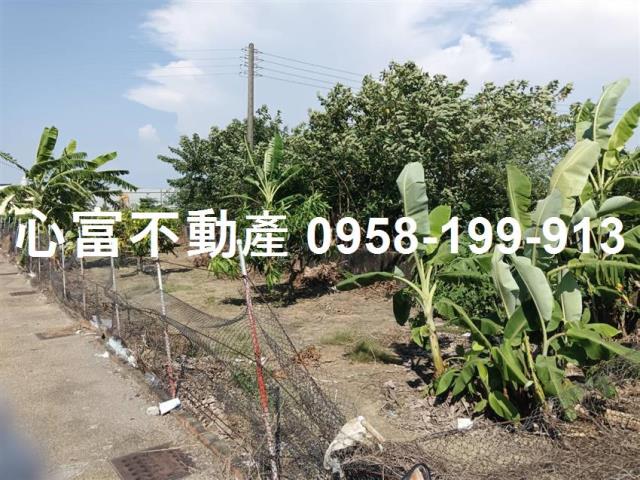 路竹農地-1