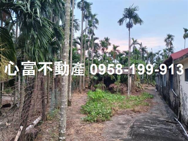 屏東農地-2