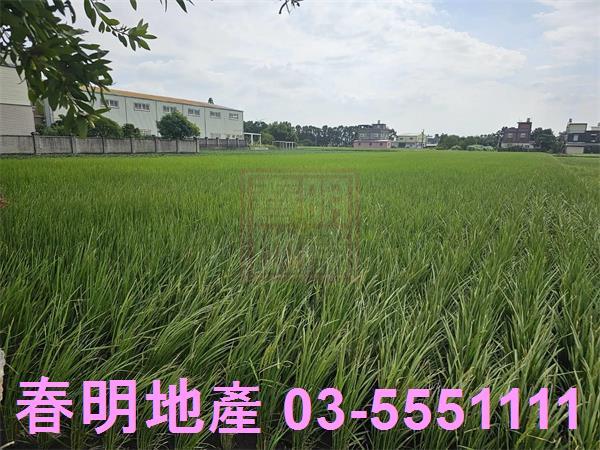 新竹農地-6