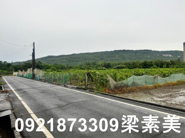 高雄農地-2