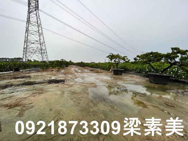 高雄農地-5