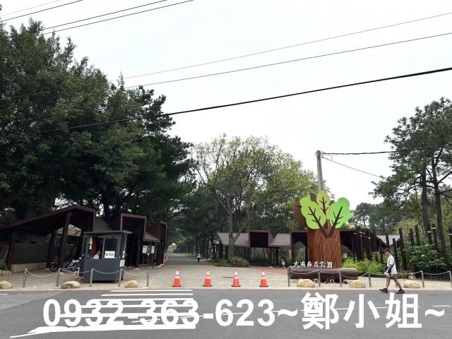 桃園八德農地-1