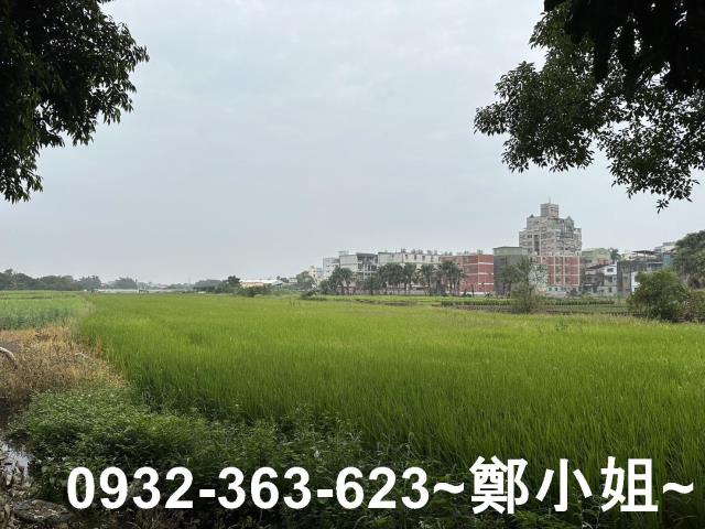 桃園八德農地-5