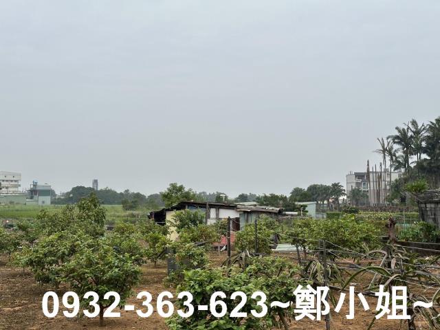 桃園八德農地-6