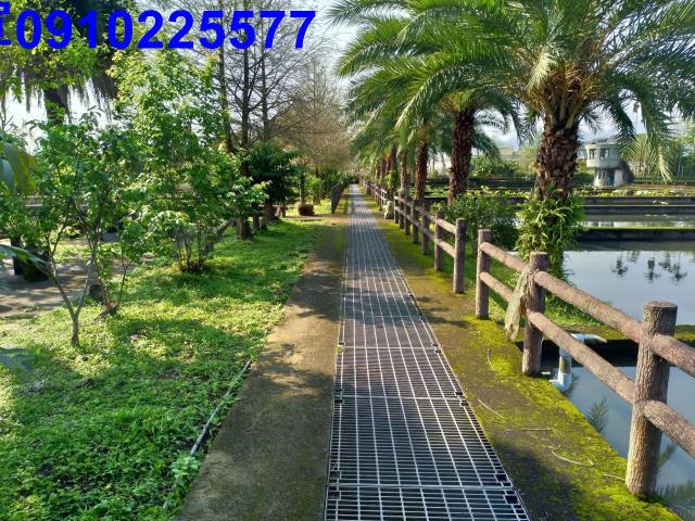 員山農地-9