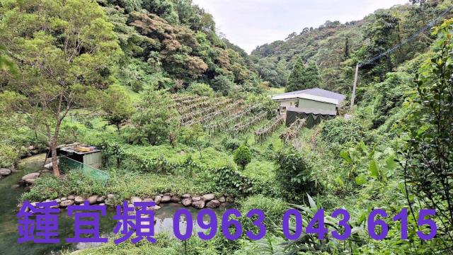 三灣農地-6