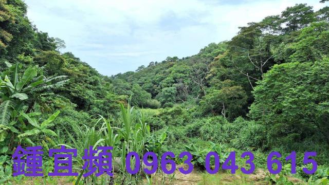 三灣農地-7