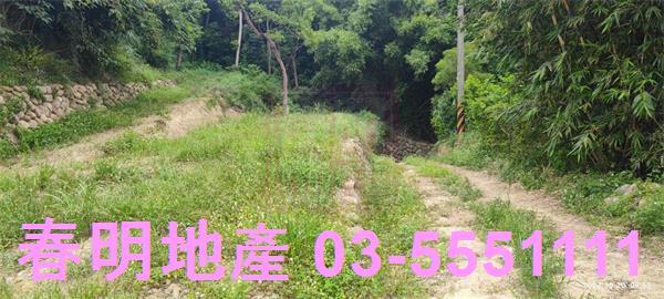 東區休閒地-3