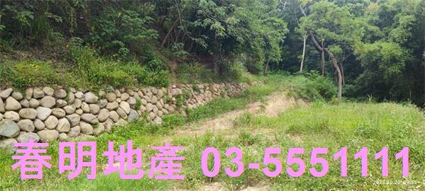 東區休閒地-6