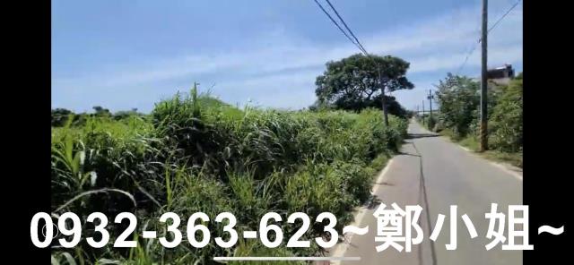 楊梅農地-4