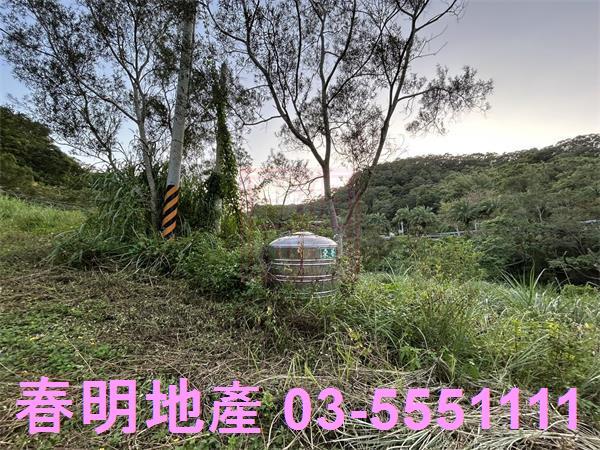 新竹竹東農地-1