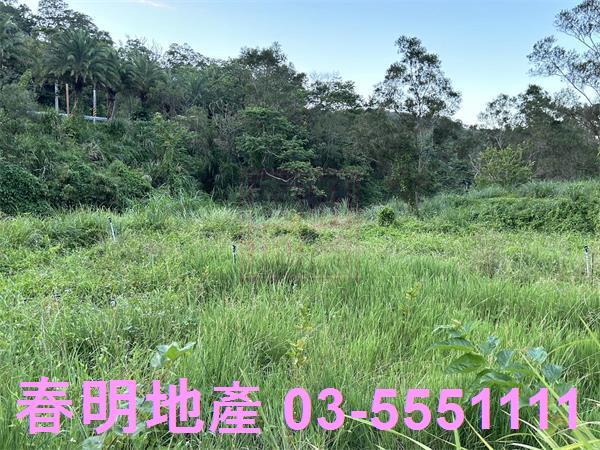 新竹竹東農地-4