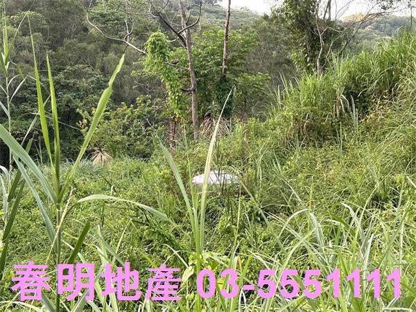 新竹竹東農地-5