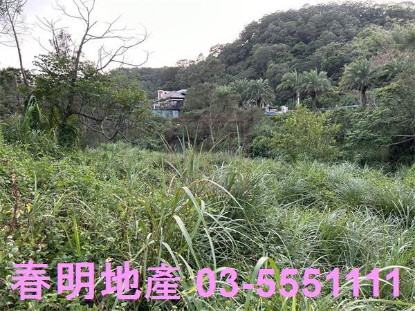 新竹竹東農地-7