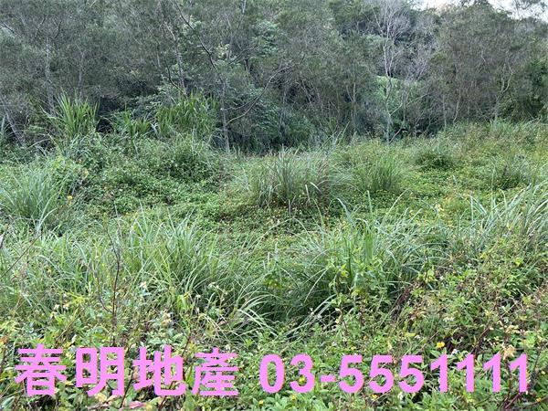 新竹竹東農地-8