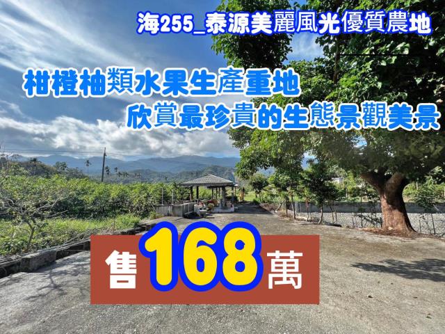 泰源美麗風光優質農地