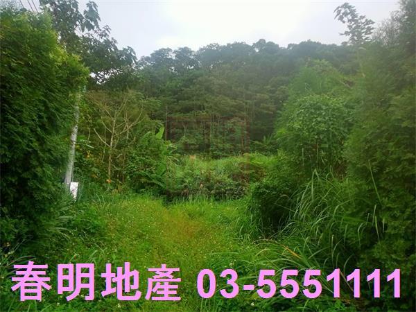 新竹橫山山坡地-4