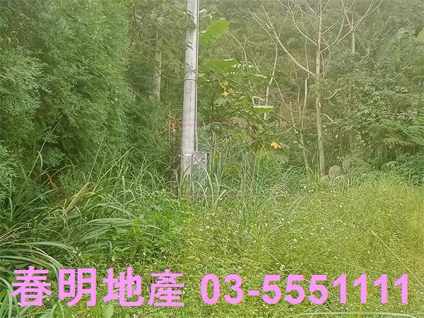 新竹橫山山坡地-7