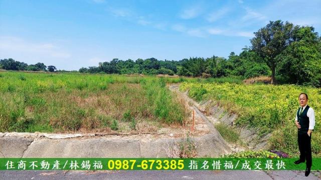 官田農地-2
