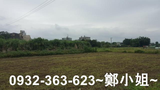桃園農地-4