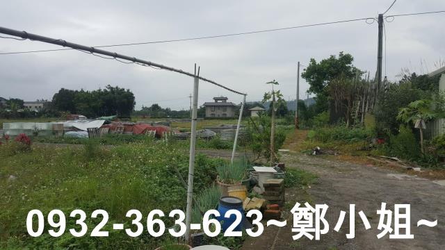 桃園農地-9