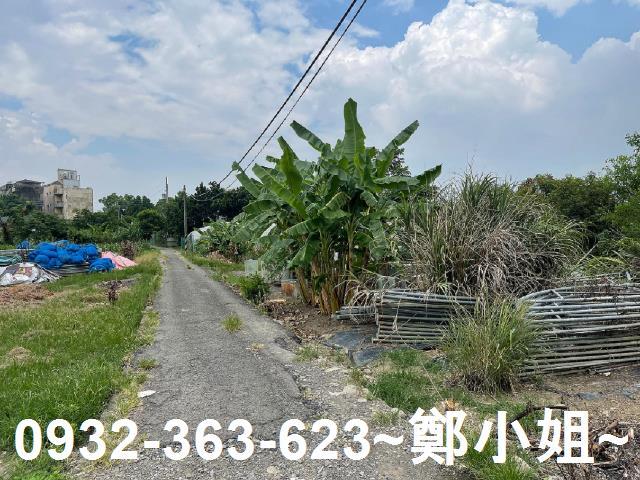 桃園農地-4
