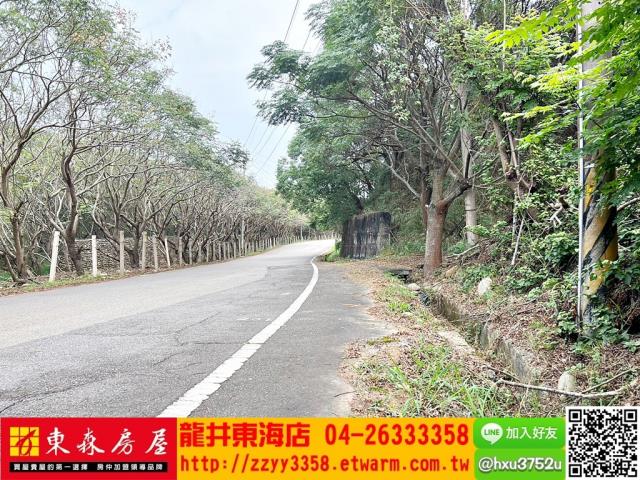 清水休閒地-3