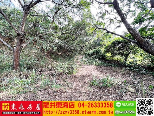 清水休閒地-8