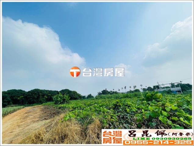 東區農地-7