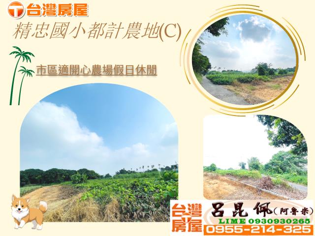 東區農地-1