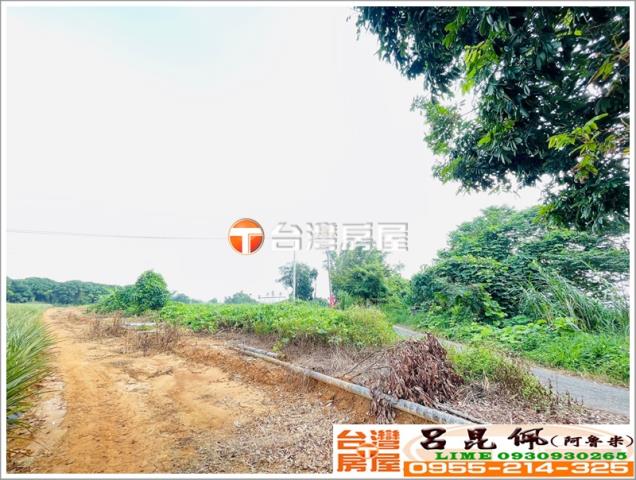 東區農地-3