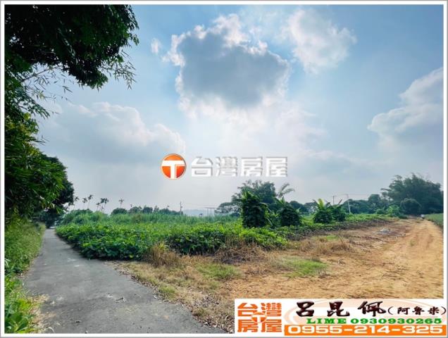 東區農地-4