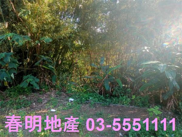 北埔農地-12
