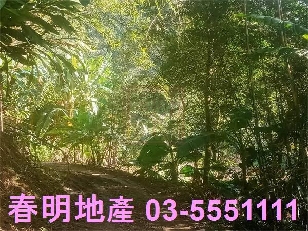 北埔農地-1
