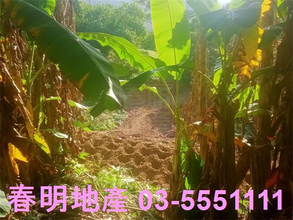 北埔農地-4